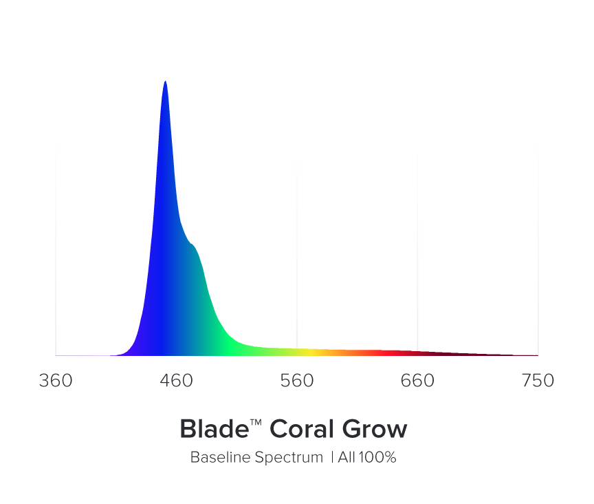 AI Blade Coral Grow - 21 inch