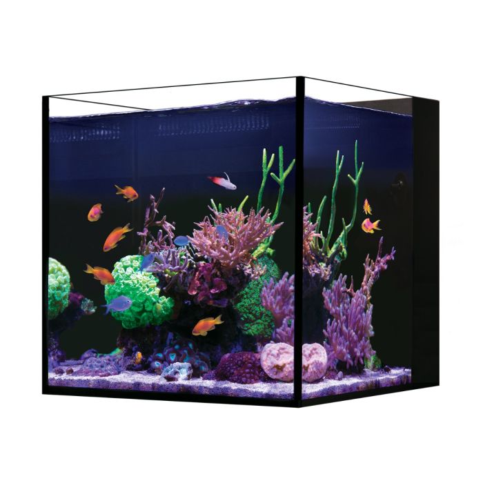 Red Sea DESKTOP Cube Aquarium