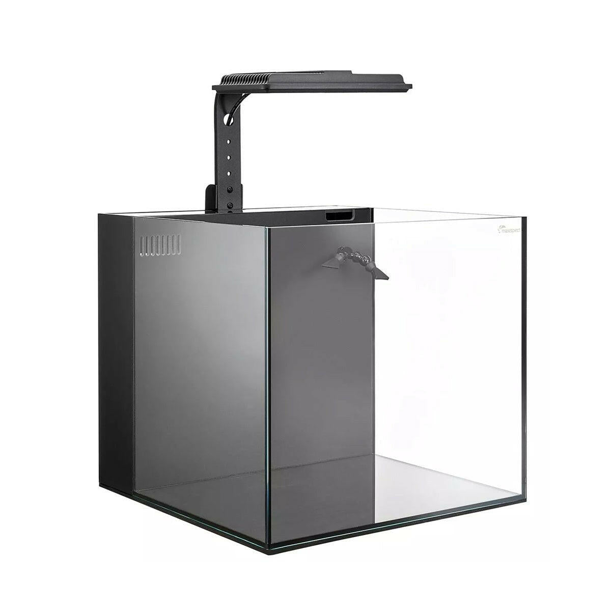 MAXSPECT DICE AIO NANO AQUARIUM
