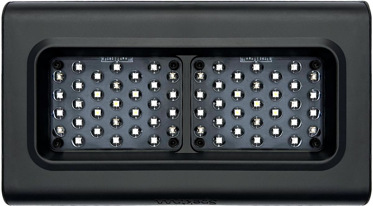 D-D Spektrum 150 High Output LED Light