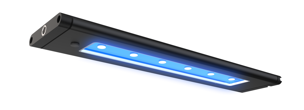 AI Blade Coral Grow - 39 inch