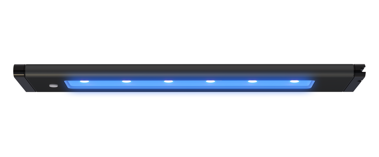 AI Blade Coral Grow - 21 inch