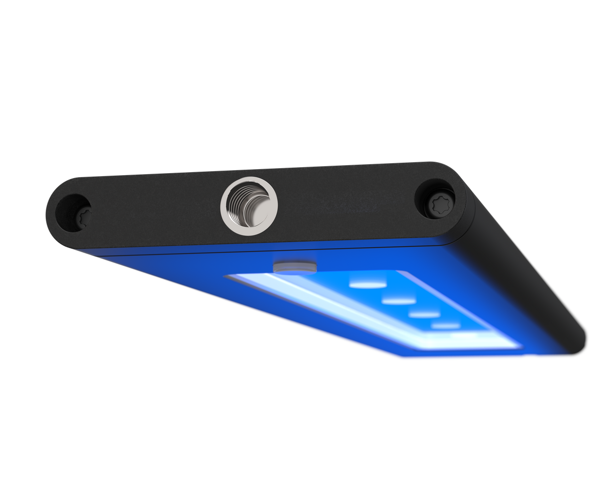 AI Blade Coral Grow - 12 Inch