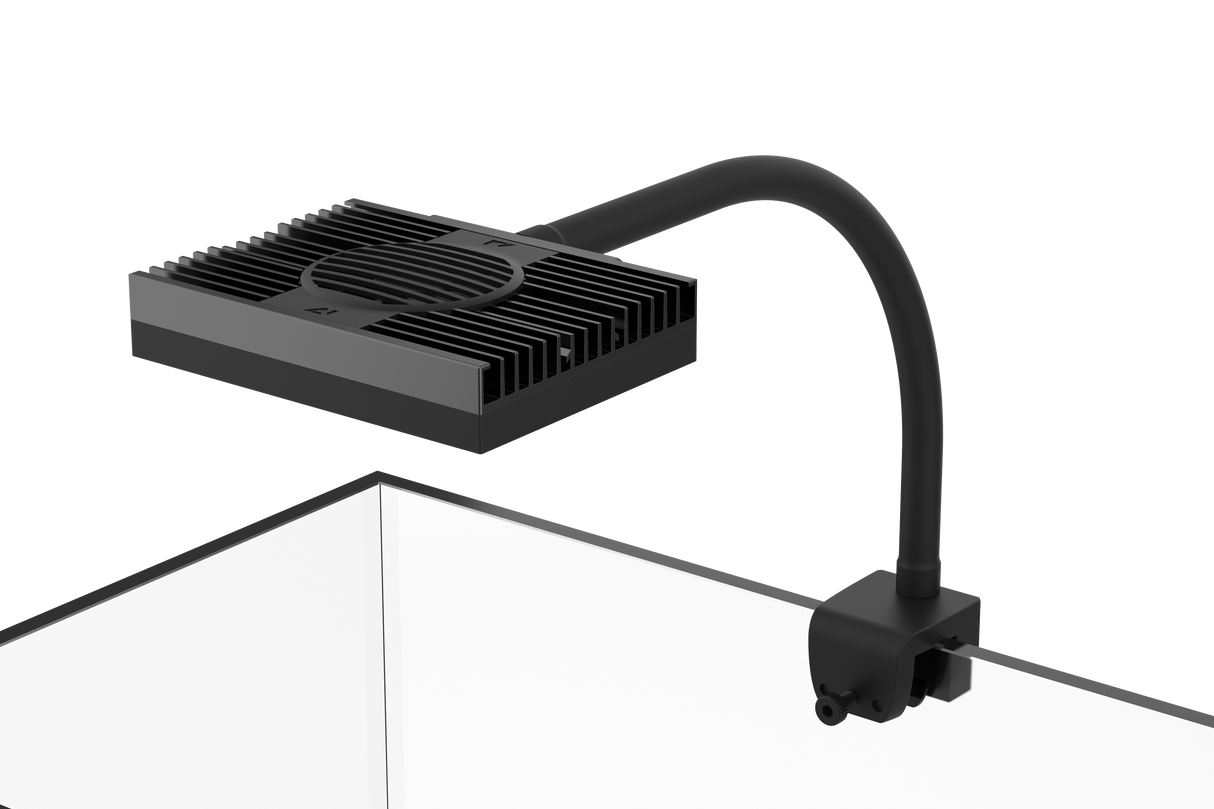 AI Hydra 32HD twin package