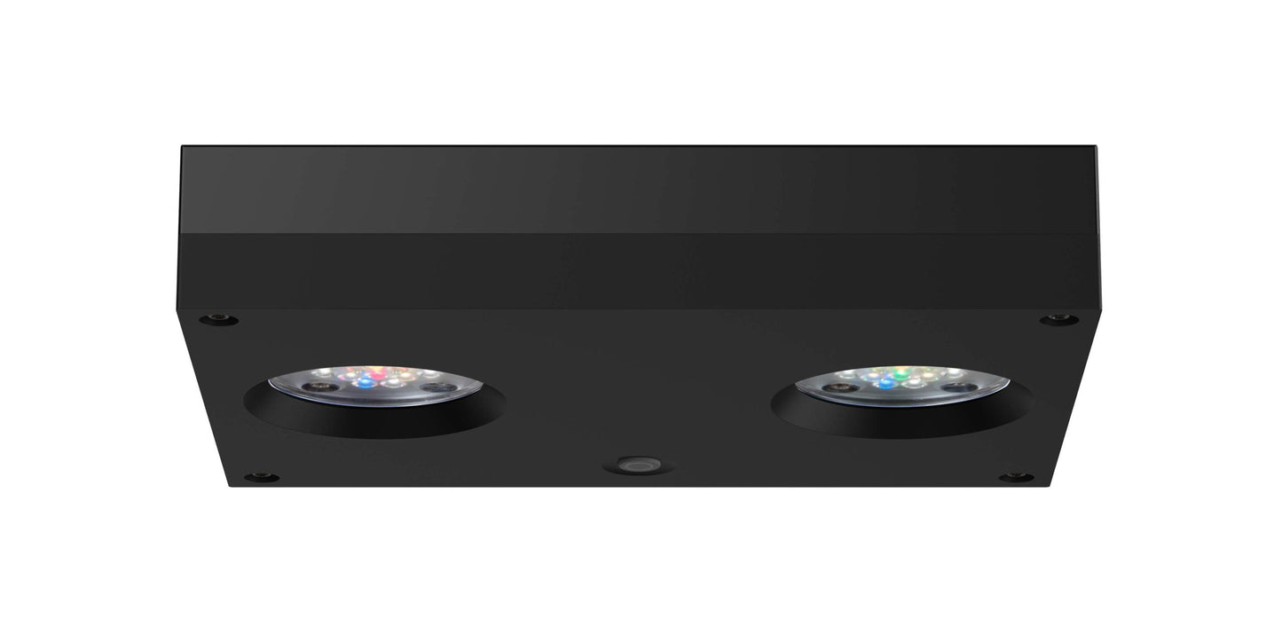 AI Hydra 32HD twin package