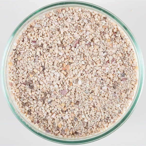 CaribSea Arag-Alive Fiji Pink Live Sand 10lb – Marine Substrate