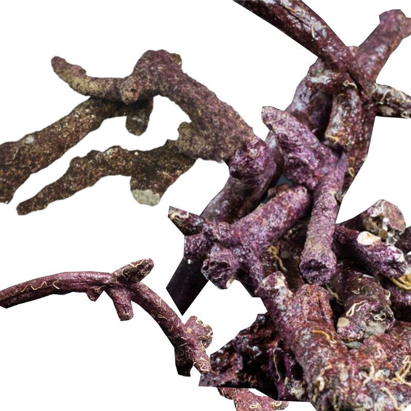 Real Reef Rock Branch 1kg – Premium Branch Rock for Reef Aquascaping