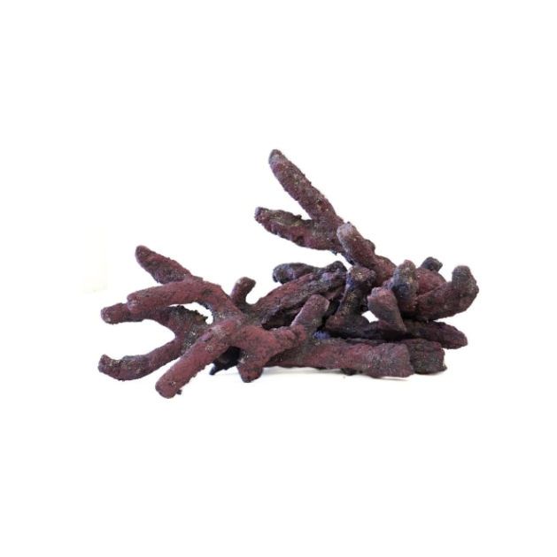 CaribSea LifeRock Belize Branch 20Lb Box – Branch Reef Aquascaping Rock