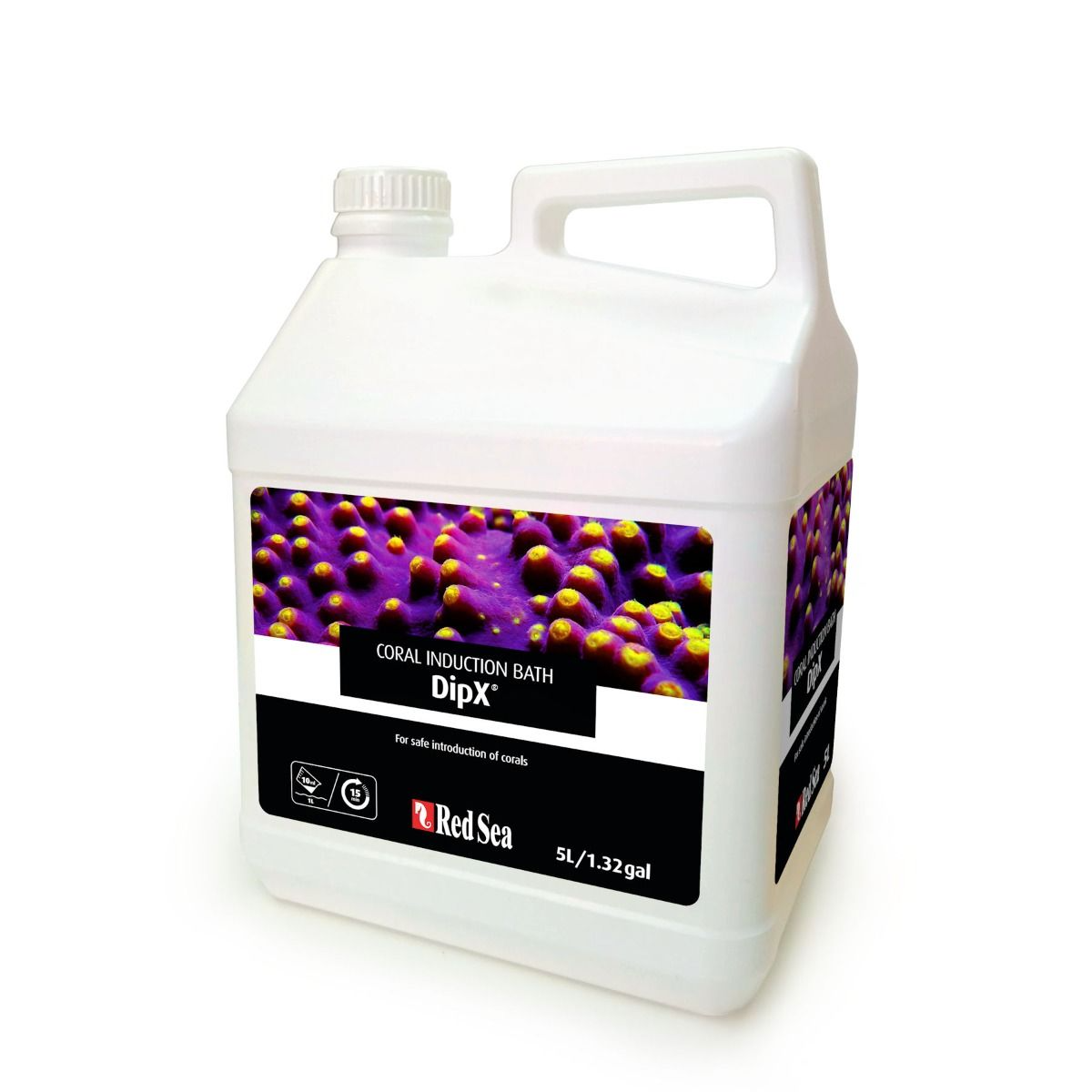 Red Sea DipX Coral Dip 5L — Safe Coral & Live Rock Treatment