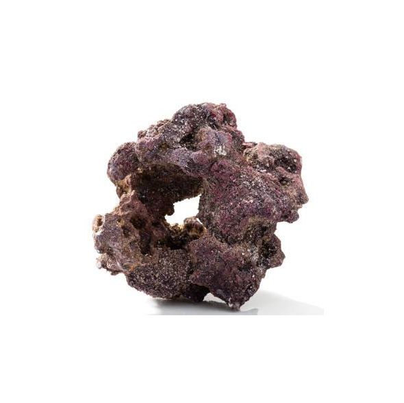 CaribSea LifeRock Donuts 4Pk – Reef Swim-Through Aquascaping Rock
