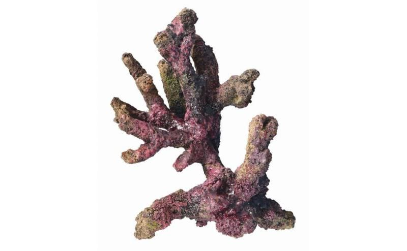 TMC EcoReef Rock Mix E - Branch Mix for Marine Aquariums | Sustainable Reef Rock