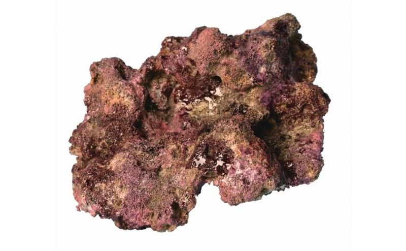 TMC EcoReef Rock Mix F - Plate Mix for Marine & Reef Aquariums