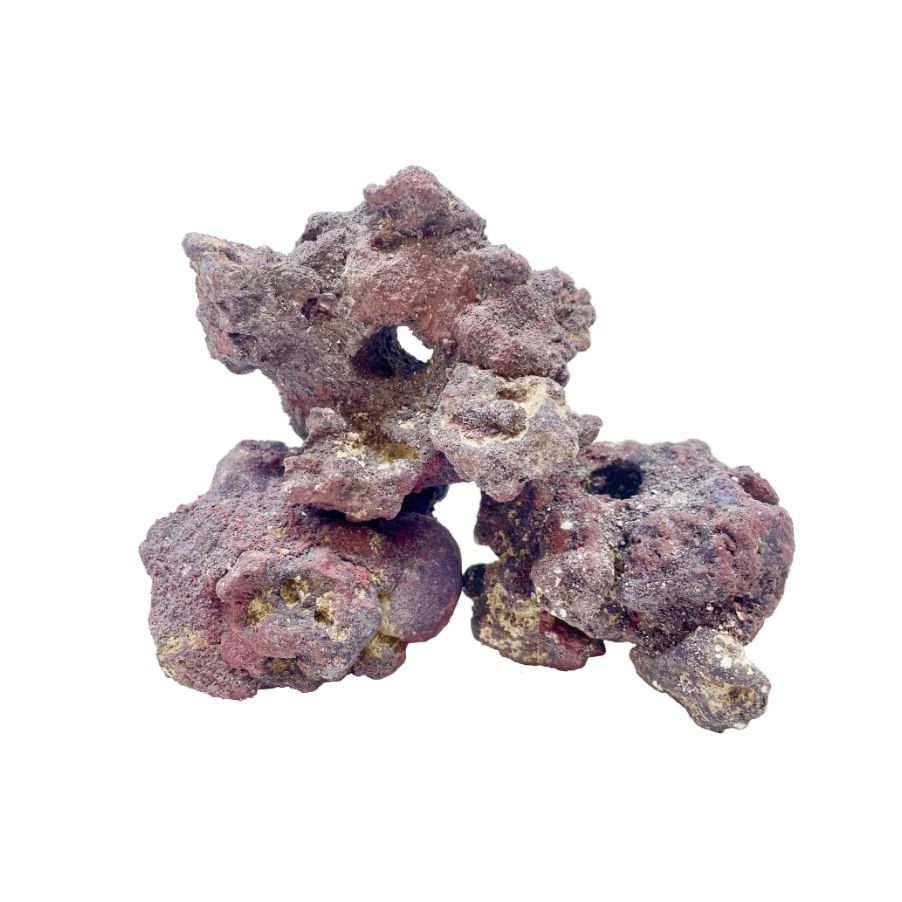 CaribSea LifeRock Fraggerz 10Pk – Coral Frag Holder Rock