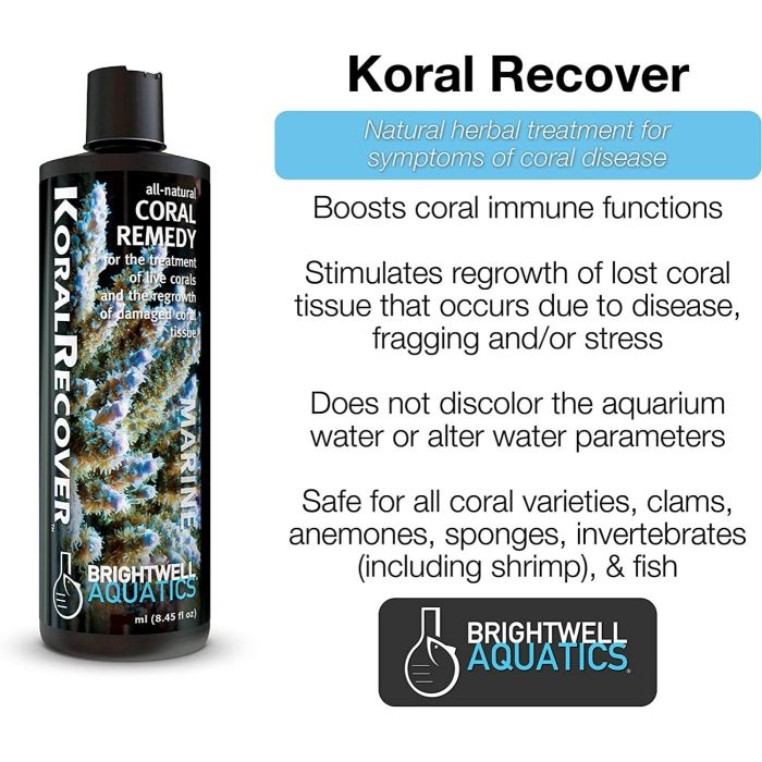 Brightwell Aquatics Koral Recover Coral Treatment – 250ml
