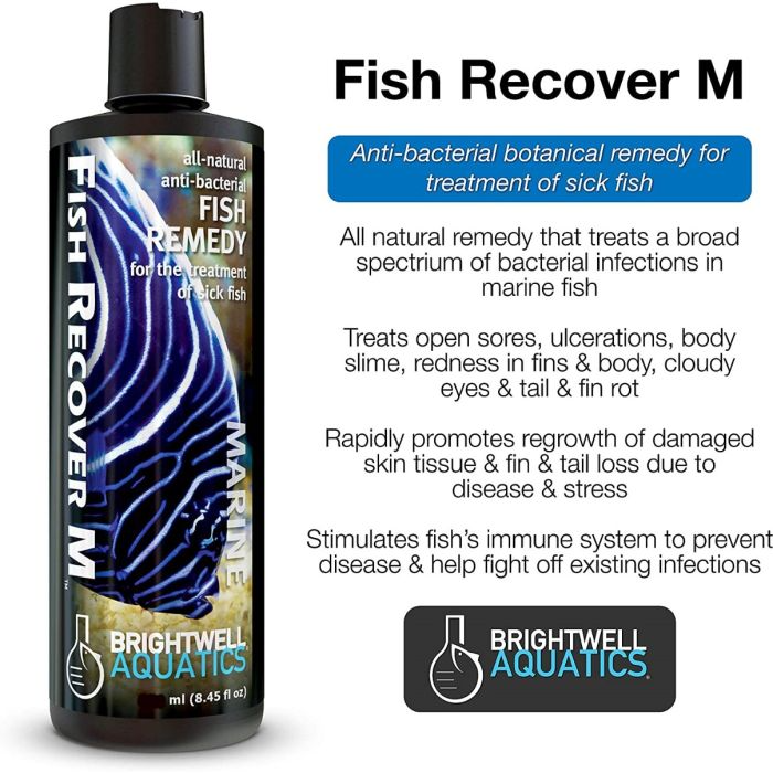 Brightwell Aquatics Fish Recover Marine Anti-Bacterial Remedy – 250ml