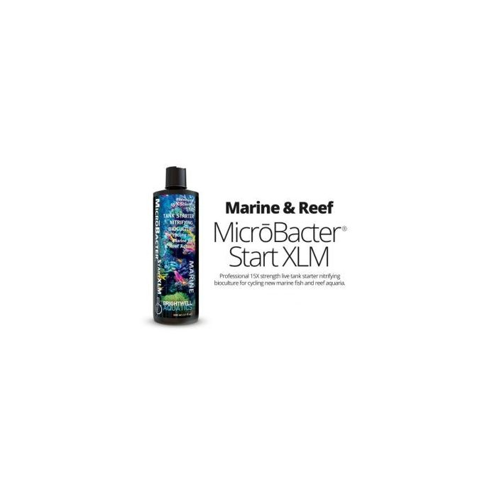Brightwell Aquatics BacStart XLM Marine Starter Culture - 250ml
