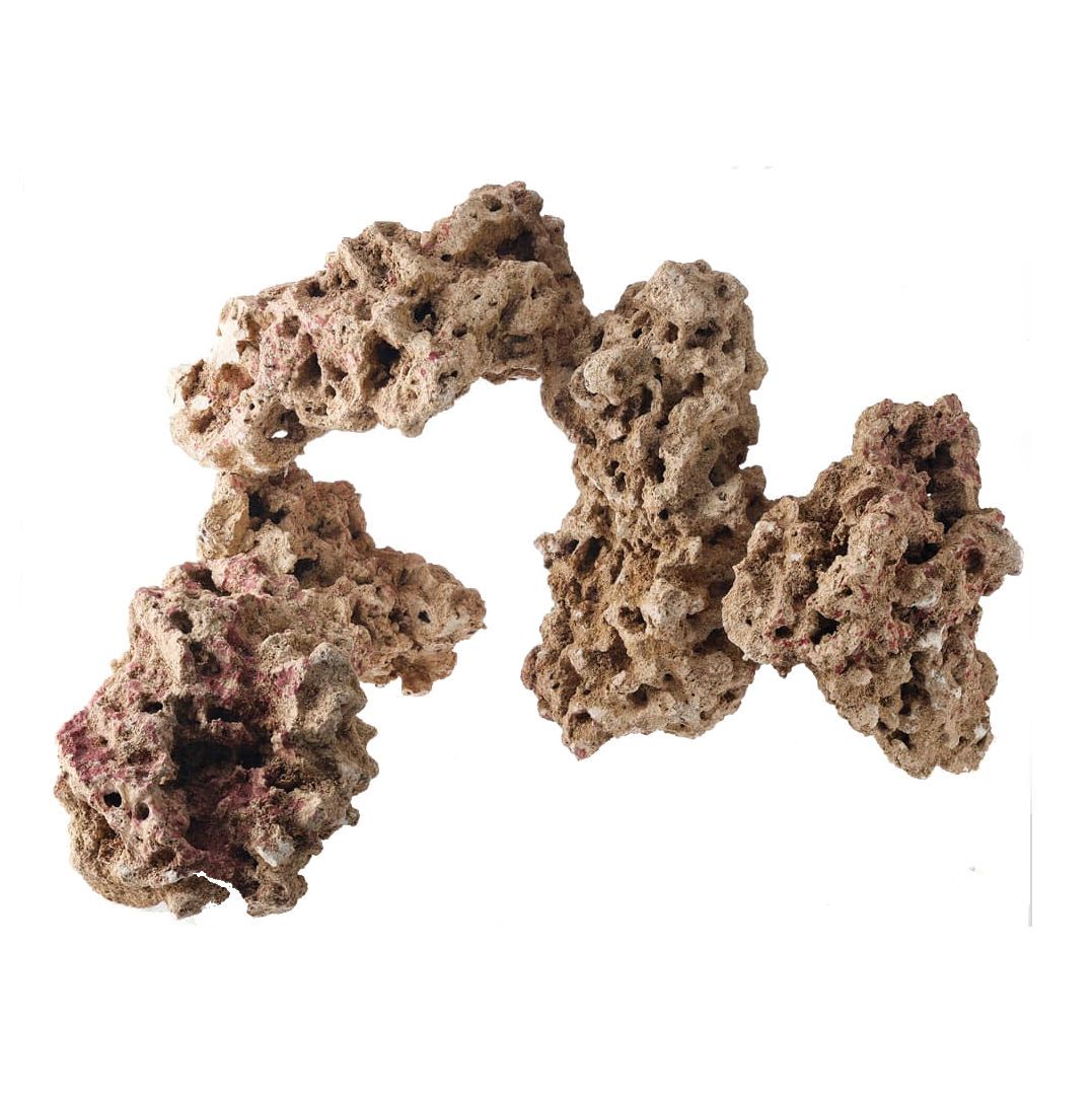 CaribSea Moani Dry LifeRock 40Lb Box – Dry Live Reef Rock