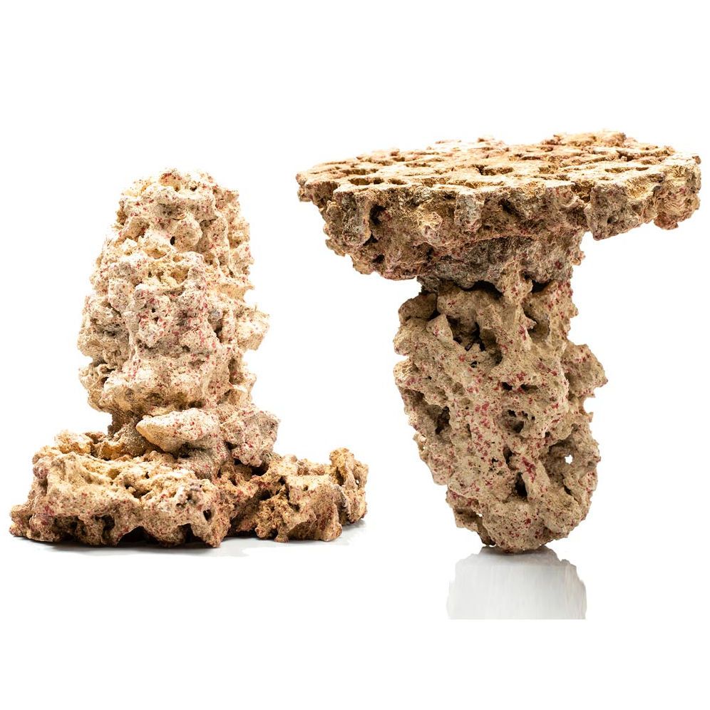 CaribSea LifeRock Shrooms 2Pk – Reef Frag & Aquascaping Rock