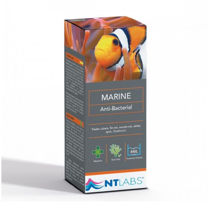 NT Labs Anti Bacterial | Bacterial Infection Treatment for Marine Fish