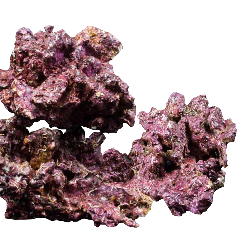 Real Reef Rock Premium 1kg – Natural, Bio-Active Rock for Marine Aquariums