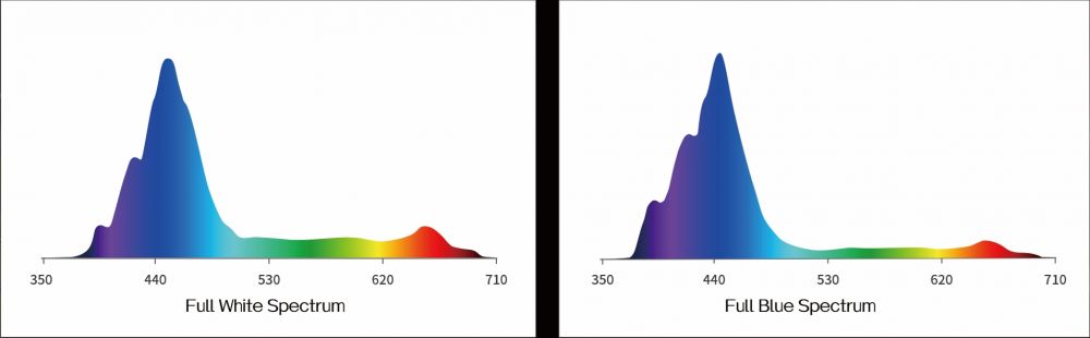 Maxspect Ethereal Infinite E8-230