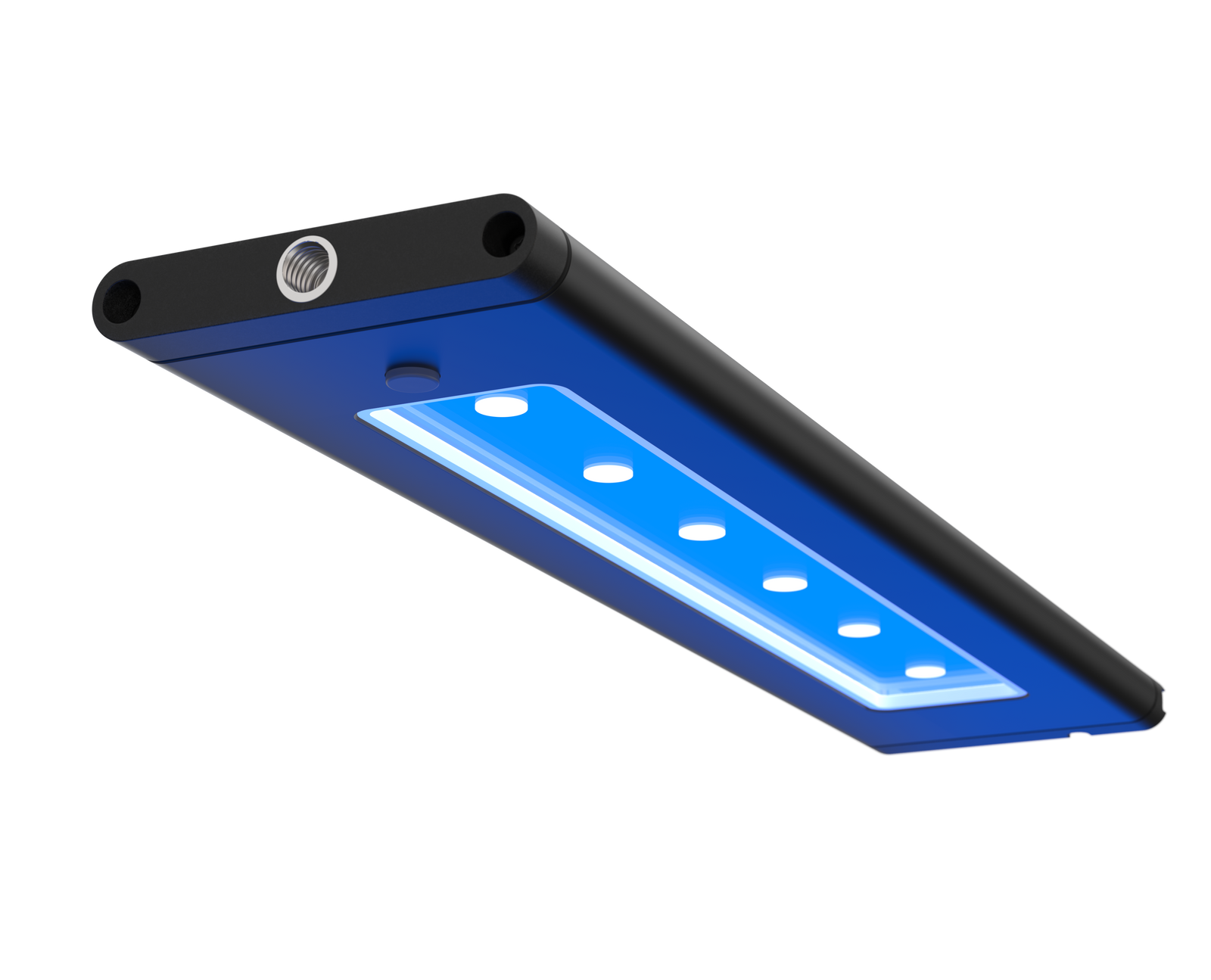 Tips For Choosing The Right Lighting For A Marine Aquarium