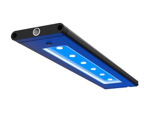 Tips For Choosing The Right Lighting For A Marine Aquarium