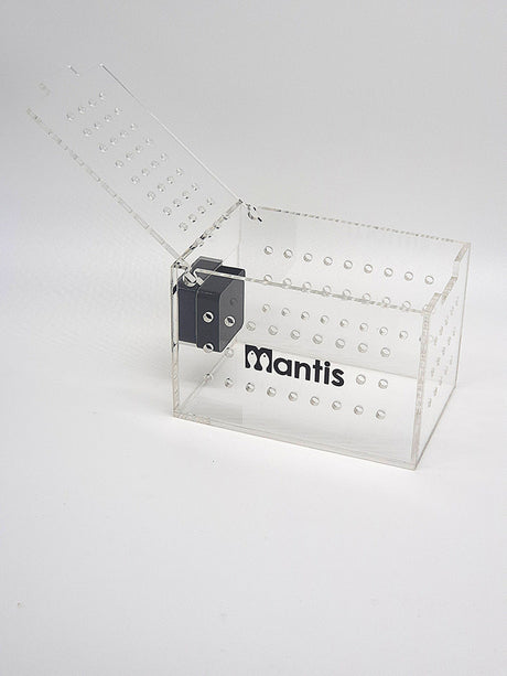 mantis