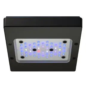 ecotec lights