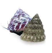 Inverts