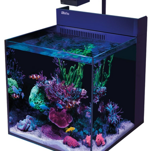 Red Sea aquariums