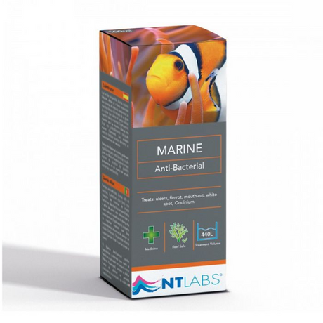 Ntlabs