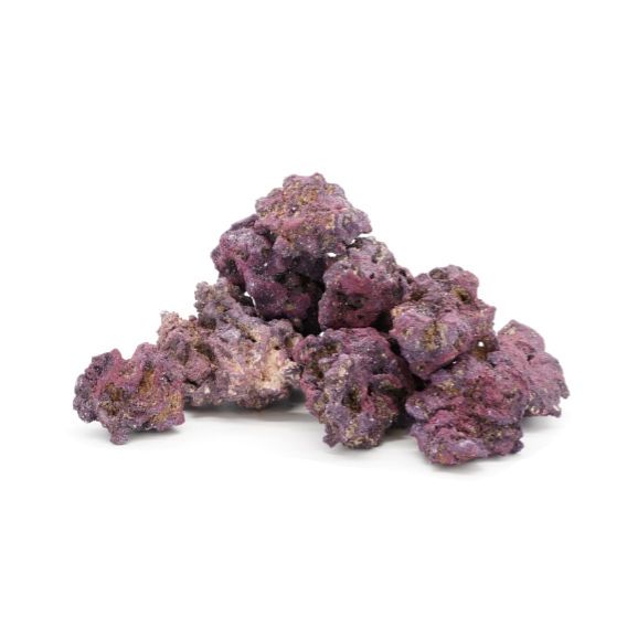 CaribSea LifeRock Nano Original 10Lb – Nano Reef Live Rock
