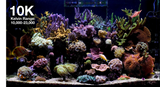 Red Sea ReefLED G2 170 – High-Power LED Lighting for Coral Growth