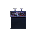 D-D Reef Pro 1200 Aquarium - Crystal Clear Glass, Silent Overflow, Modern Design