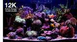 Red Sea ReefLED G2 60 – Powerful, Reef-Safe LED Lighting for Aquariums
