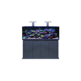 D-D Reef Pro 1500S Aquarium System – Ultra-Clear Glass, Silent Overflow