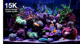 Red Sea ReefLED G2 170 – High-Power LED Lighting for Coral Growth