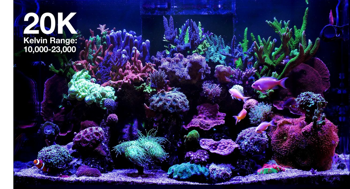Red Sea ReefLED G2 115 – Powerful LED Lighting for Corals & Aquariums