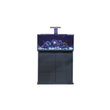 D-D Reef Pro 900 Aquarium - Crystal Clear Glass, Silent Overflow