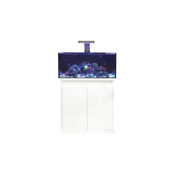 D-D Reef Pro 900 Aquarium - Crystal Clear Glass, Silent Overflow
