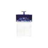 D-D Reef Pro 900 Aquarium - Crystal Clear Glass, Silent Overflow