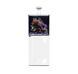 D-D Aqua Pro Reef Aquarium 600 Cube