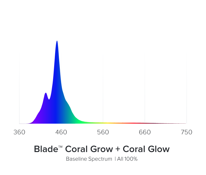 AI Blade Coral Glow - 21 Inch