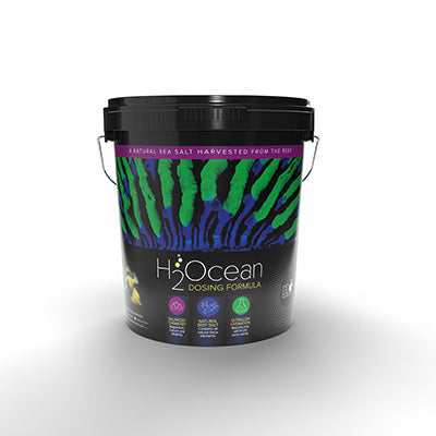 D&D H2Ocean Dosing Formula Marine Salt 23kg – Reef-freaks
