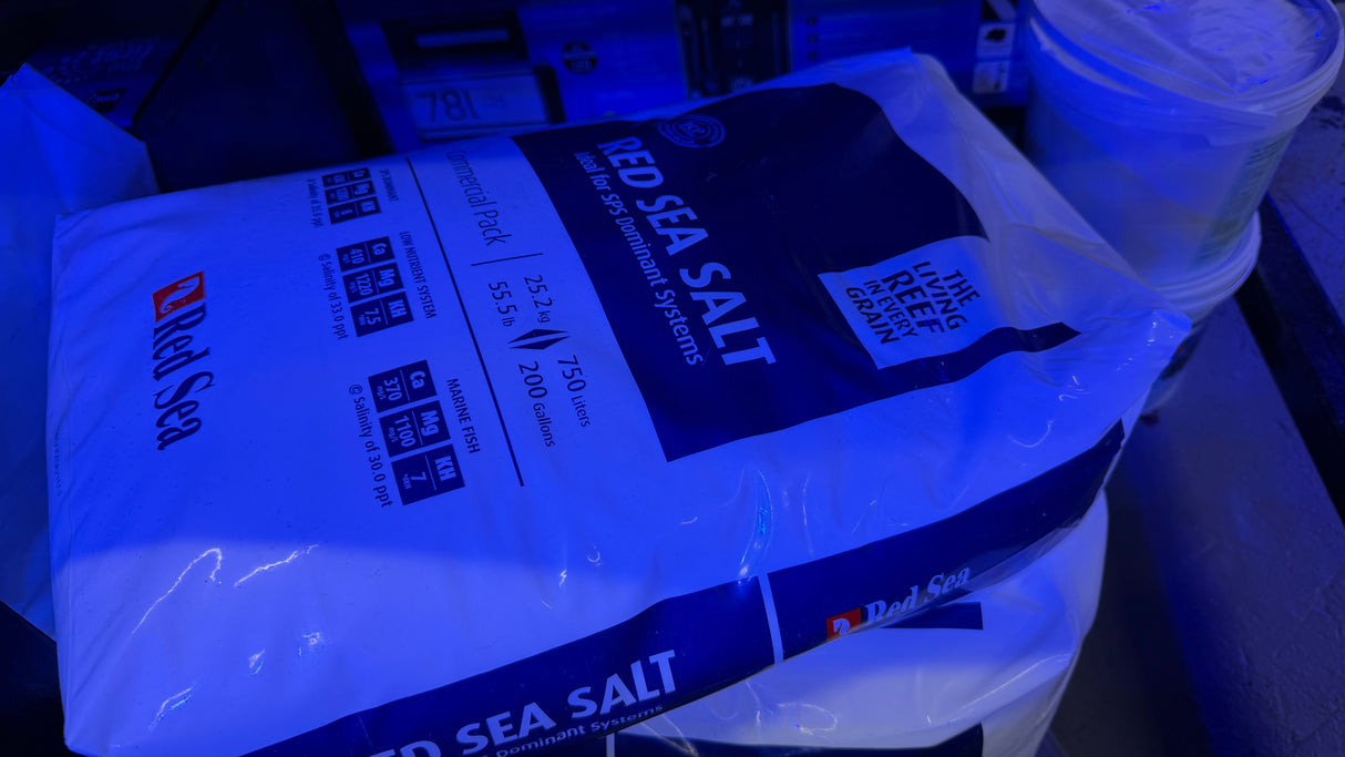 Red Sea salt