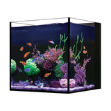 Red Sea DESKTOP Cube Aquarium