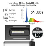 TMC FIRST WAVE 78L AQUARIUM SET + FREE HEATER