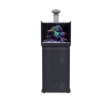 D-D Reef Pro 600 Aquarium