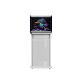 D-D Reef Pro 600 Aquarium
